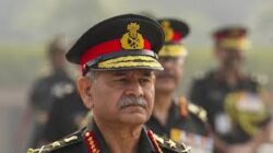 Images 14 1 250x140.jpg