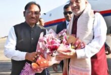 1770466007 6b44caaa7d0ec8647ada 250x235.jpeg