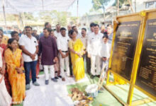 1770562638 41504207532f9feb1648 250x188.jpg