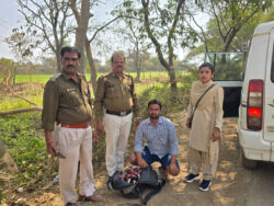 1770823536 6472897dfd0ff6f866a2 250x188.jpeg