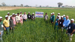 1771003951 d5bffd1a7ccd47442e8d 250x141.jpg