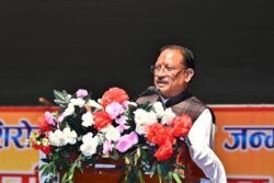 1771855660 9ac07b578437d74fb1aa 250x167.jpg