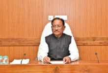 1771917441 51ba6d8c2fda0826283c 250x160.jpg