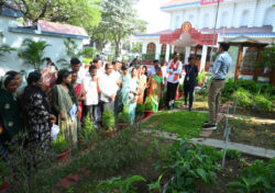 1772193017 c2389f25bb82387dba8f 250x176.jpeg