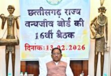 IMG 20260213 WA0043 250x219.jpg