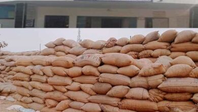 WhatsApp Image 2026 02 02 at 7.26.35 PM copy