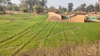 WhatsApp Image 2026 02 18 at 4.47.47 PM