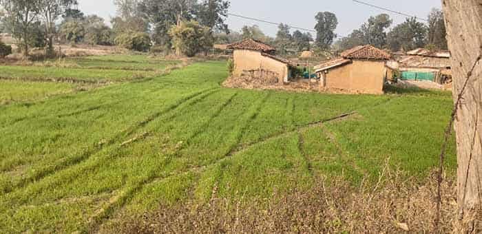 WhatsApp Image 2026 02 18 at 4.47.47 PM