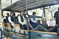 1772724616 7d6f9037f71f7132c814 250x167.jpeg