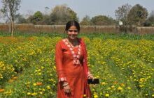 1772731814 408fb6ce1febdd89dbb5 250x141.jpeg