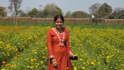 1772731814 408fb6ce1febdd89dbb5 250x141.jpeg