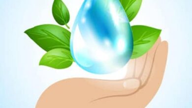 309663981 522134819918224 6618243398016650182 n