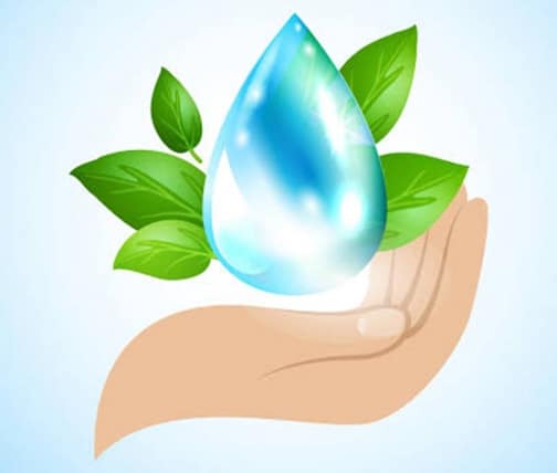 309663981 522134819918224 6618243398016650182 n