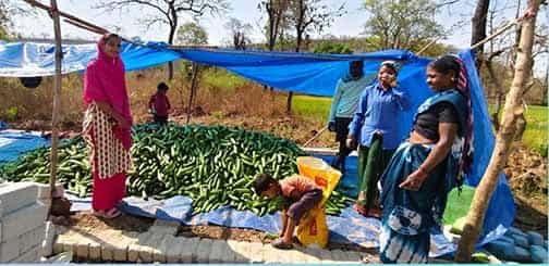 WhatsApp Image 2026 04 10 at 4.23.56 PM