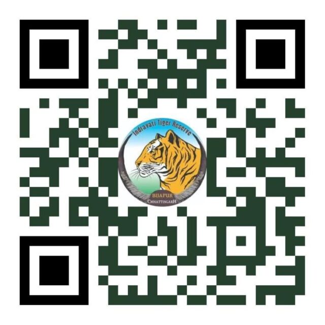 WhatsApp Image 2026-07-25 at 11.13.19 PM