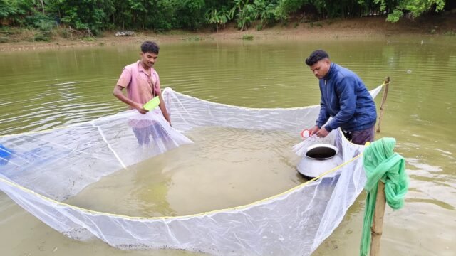 WhatsApp Image 2026-07-28 at 1.56.19 PM